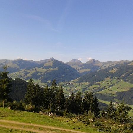 فندق كيرشبرغ ان تيرولفي  Alpenhof المظهر الخارجي الصورة