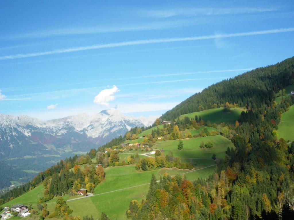 فندق كيرشبرغ ان تيرولفي  Alpenhof المظهر الخارجي الصورة