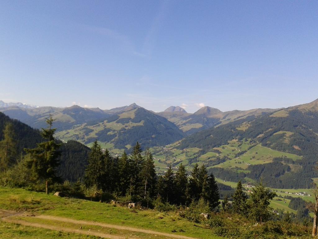 فندق كيرشبرغ ان تيرولفي  Alpenhof المظهر الخارجي الصورة