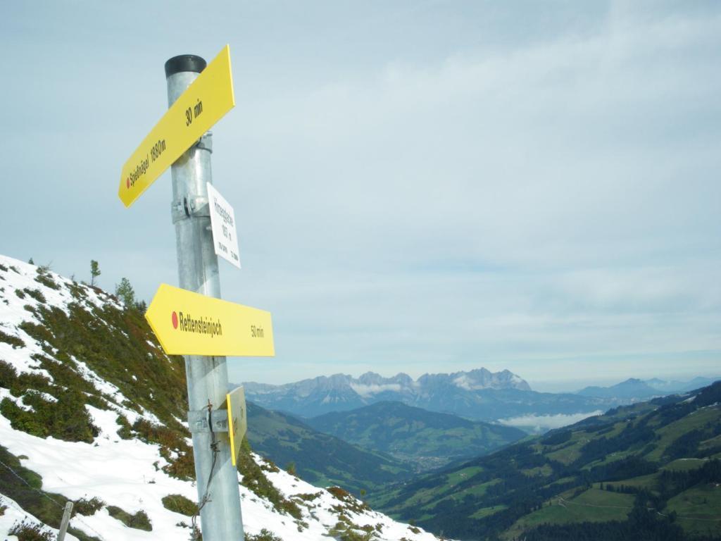 فندق كيرشبرغ ان تيرولفي  Alpenhof المظهر الخارجي الصورة